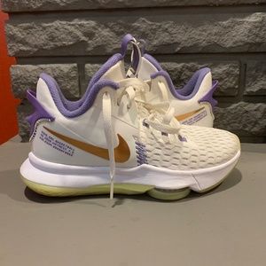 Nike Lebron Witness 5